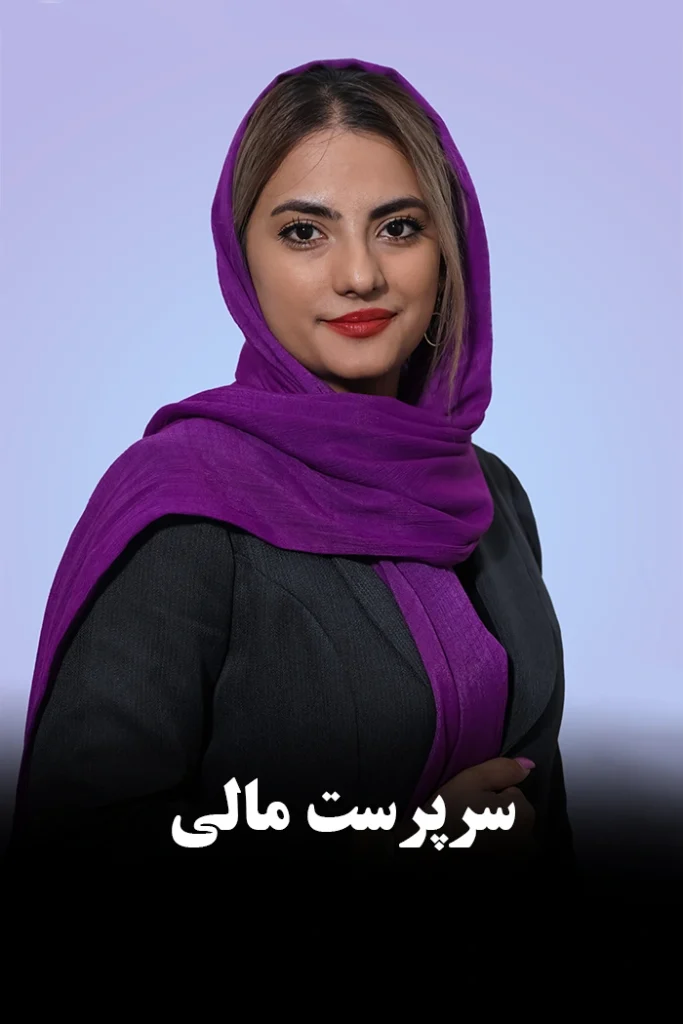 همکاران موسسه دانا محاسب