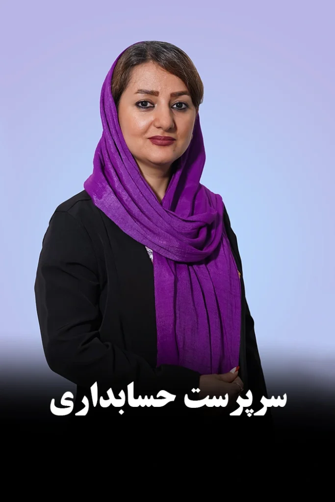 همکاران موسسه دانا محاسب