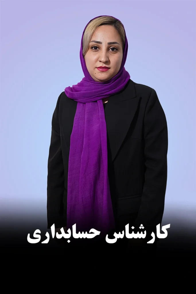 همکاران موسسه دانا محاسب