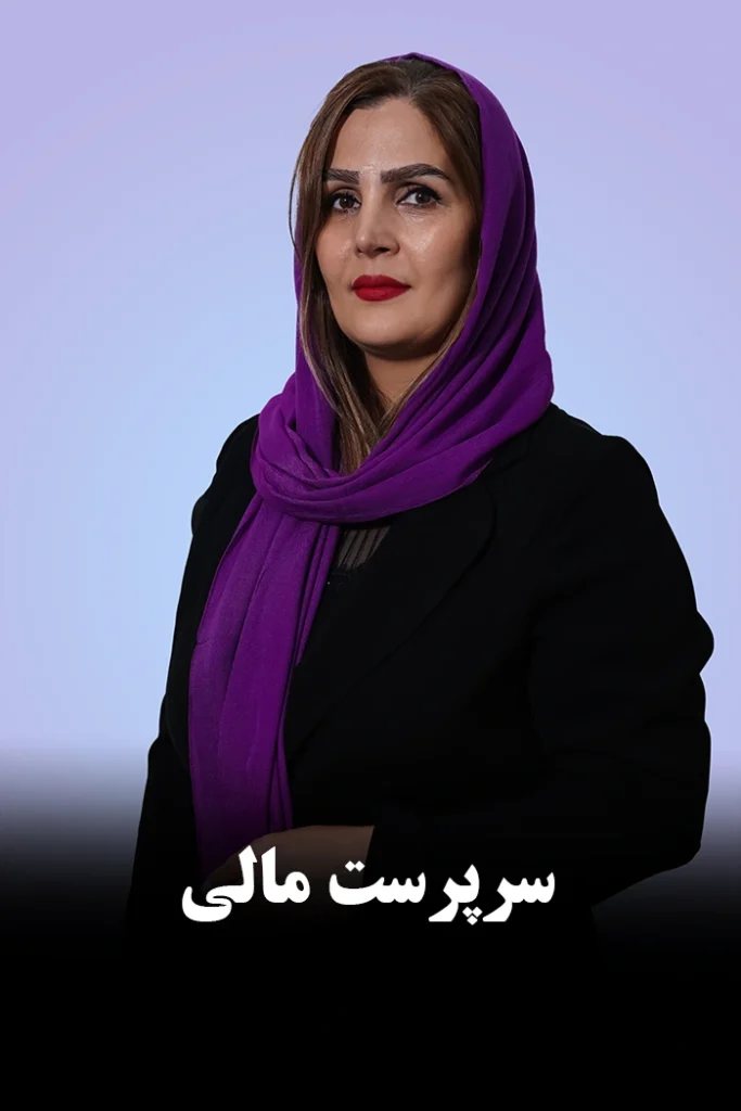 همکاران موسسه دانا محاسب