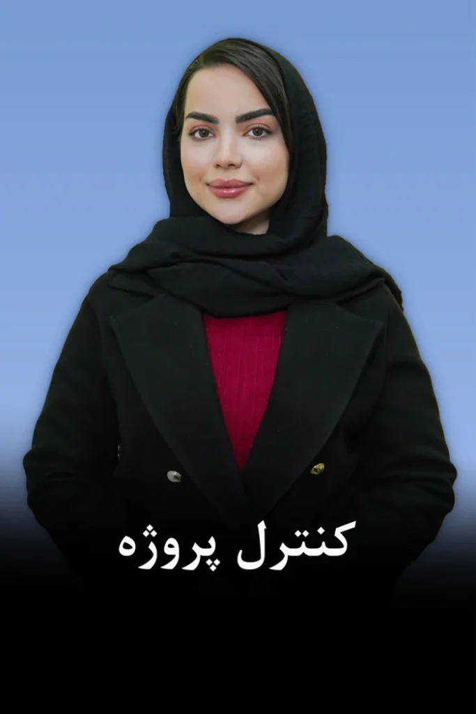 همکاران موسسه دانا محاسب
