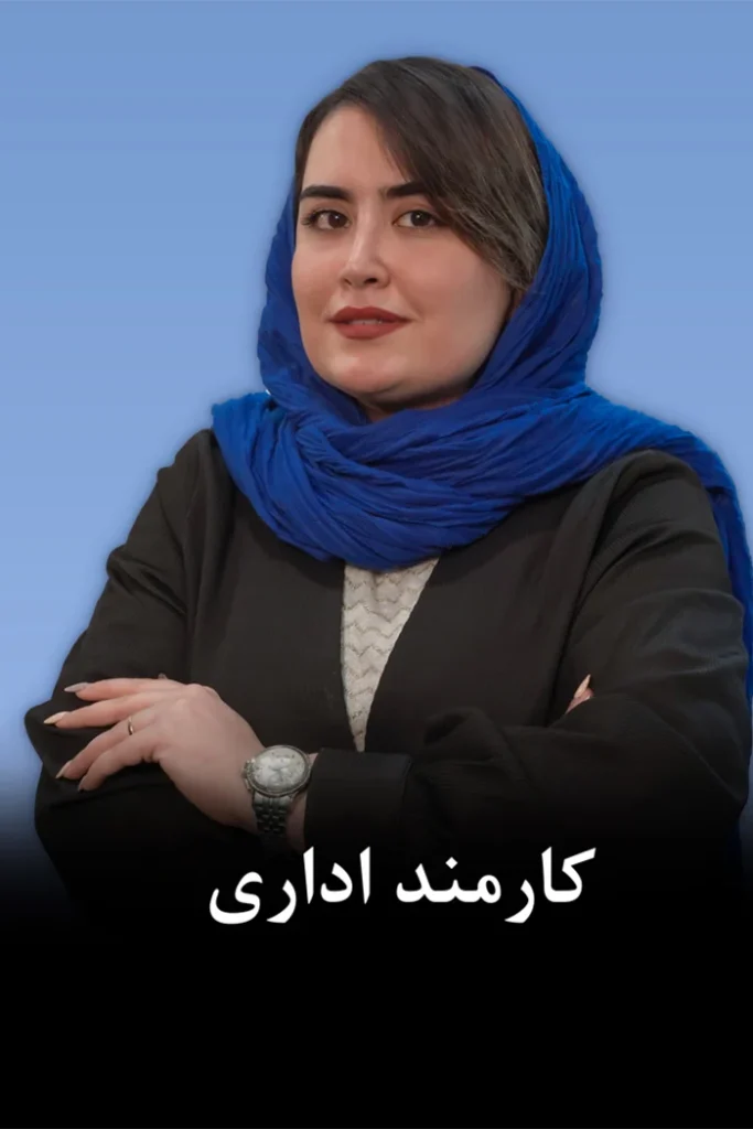 همکاران موسسه دانا محاسب